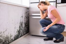 Best Air Quality Testing for Mold Spores  in USA